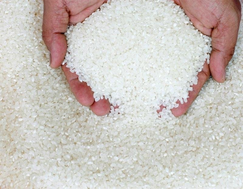 Long Grain White Rice 25% broken