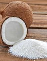  high quality desicated coconut for sell 1