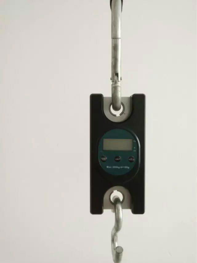 min hanging scale(300KG) 2