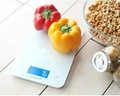Wholesale 3kg 1g Digital Stainless Steel Kitchen Scale Q 5