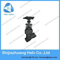 globe valve  5