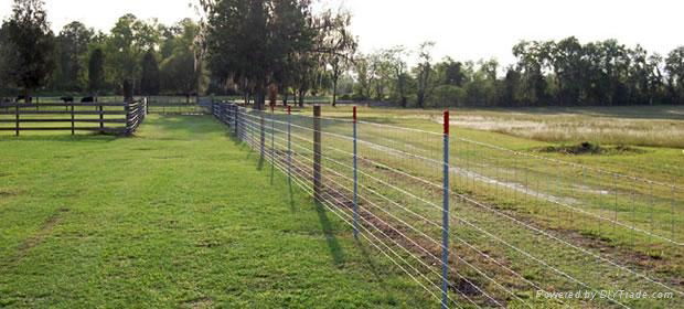 Welded Wire Fence