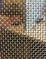 High quality  stainless steel wire mesh can be used as window security screen or 2