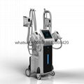 Cryolipolysis Fat freeze slimming machine coolsculpting machine 1