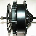 53621HR-CD brushless geared hub motor 3