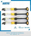 Dentex Dental Single-Shaded Direct Anterior Composite Restorations