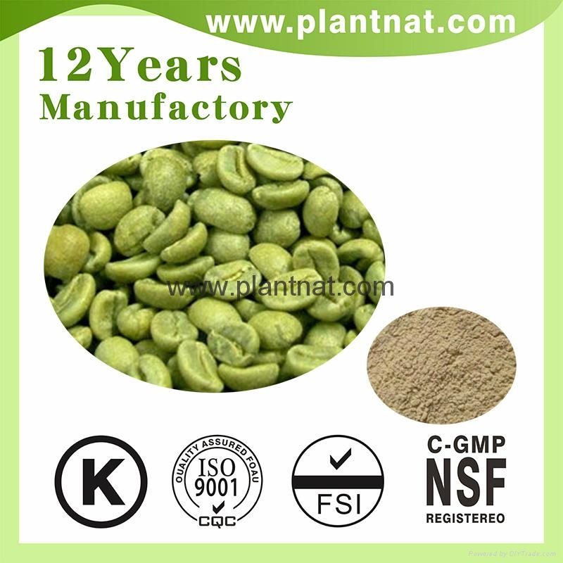 Green Coffee Bean Extract Chlorogenic Acid 50 plantnat003 plantnat
