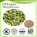 Green Coffee Bean Extract Chlorogenic