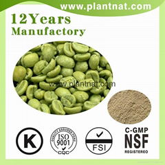  Green Coffee Bean Extract Chlorogenic Acid 50%