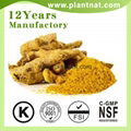 Curcumin 98%