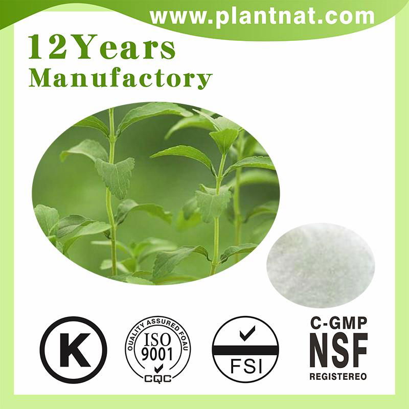 Stevia Extract 100% Natural Sweetener Stevia Leaf Extract