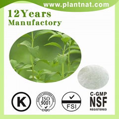 Stevia Extract 100% Natural Sweetener Stevia Leaf Extract