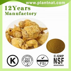 Maca Extract Anti-Fatigue Maca Root Extract