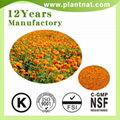 Lutein Marigold Extract 1