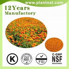 Lutein Marigold Extract