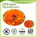 Lutein Marigold Extract 2