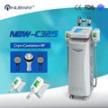 Cryolipolysis fat reduction slimming