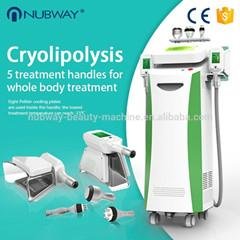 2016 hottest! 5 handles cryolipolysis fat freezing  slimming machine with CE 
