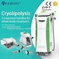 2016 hottest! 5 handles cryolipolysis fat freezing  slimming machine with CE 