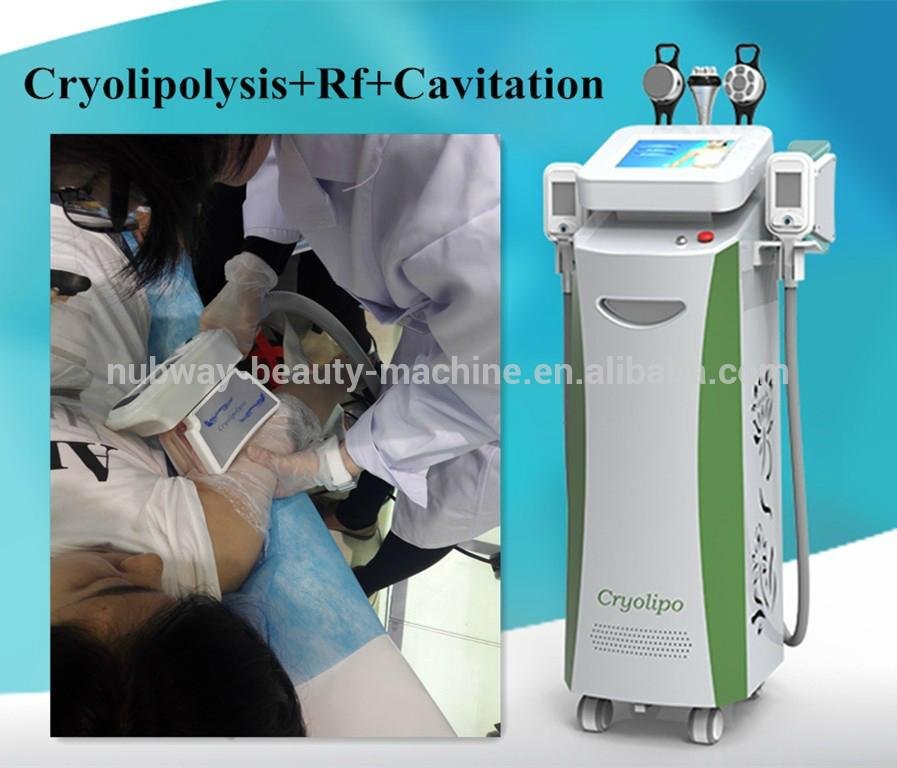 2016 hottest! 5 handles cryolipolysis fat freezing  slimming machine with CE  2