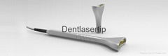 Dentlasertip whitening handpieces, bleaching