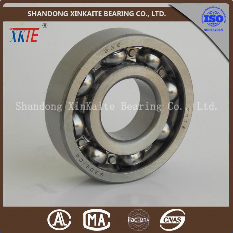 High Quality nylon retainer Bearing for Conveyor Roller 6306KA From China  1