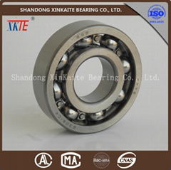 High Quality nylon retainer Bearing for Conveyor Roller 6306KA From China 