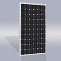 60x6"/MSP250M~MSP260M  Momo Crystalline Solar Module 1