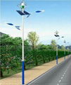 Solar Wind Hybrid Street Light MAC-SL650 1
