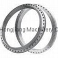 a Leading Professional Carbon Steel Flange Manufacturer 1