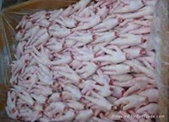 Clean Fresh Frozen Chicken Feet and Chicken Paws