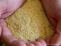 Soybean Meal  1