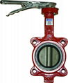 CENTER LINE BUTTERFLY VALVE 1