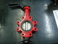 CENTER LINE BUTTERFLY VALVE 2