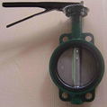 CENTER LINE BUTERFLY VALVE