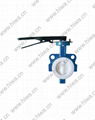 ANTICORROSION BUTTERFLY VALVE