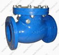 CAST IRON SWING CHECK VALVE