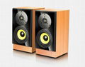 Wooden box, wood grain leather The piano lacquer that bake panel 2.0speaker 1