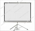 Tripod projection screen