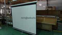 Manual projector screen