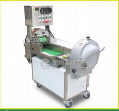 FC-301 multifunction electric vegetable cube cutting machine