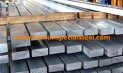 Cold Drawn 304 Stainless Steel Flat Bar