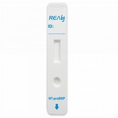  Realy NT-proBNP N-terminal pro-Brain Natriurtic Peptide Rapid Test Device 