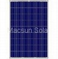 Polycrystalline Solar Panel 3