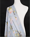 Fuyang Handragon100% silk scarves