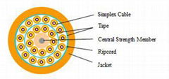 Multi-Fiber Breakout Indoor Optical Cable