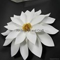 White Card Paper Star Flower