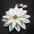 White Card Paper Star Flower 2