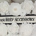 White Large Paper Flowers 4