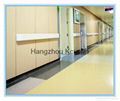 Antibacterial Crashproof Hospital PVC Wall Guard 3